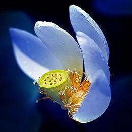 曝《辐射3：重制版》将在明年发布 有望4月亮相